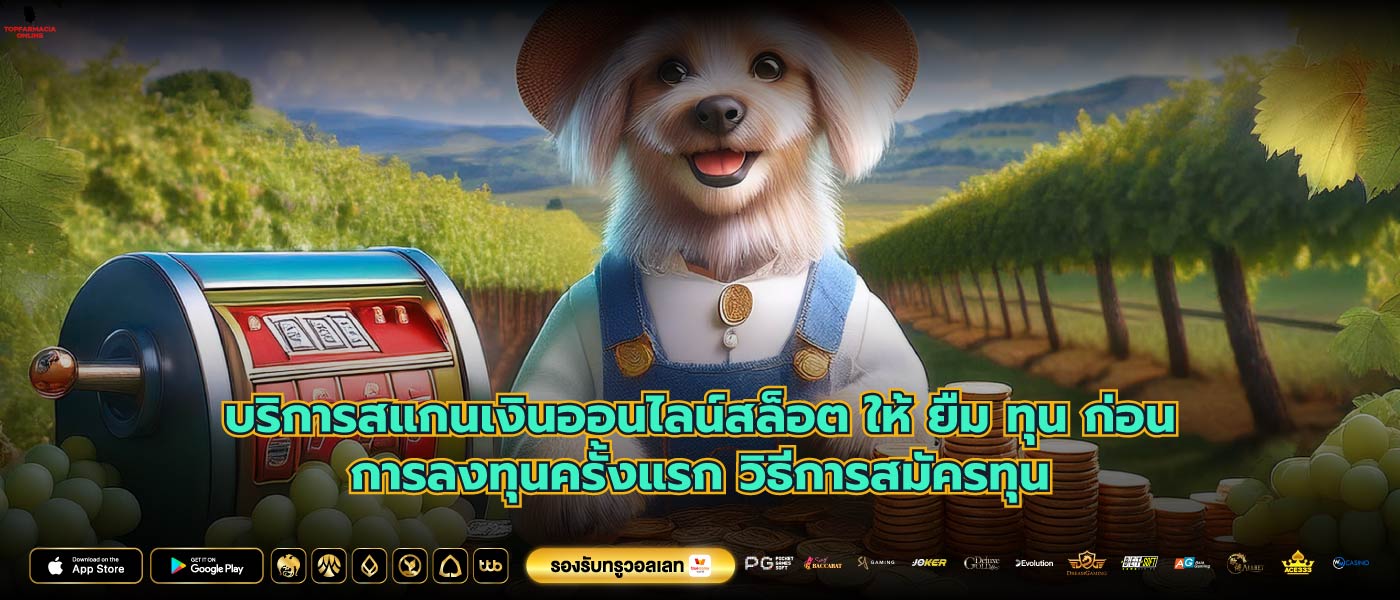 บริการสแกนเงินออนไลน์สล็อต ให้ ยืม ทุน ก่อนการลงทุนครั้งแรก วิธีการสมัครทุน
